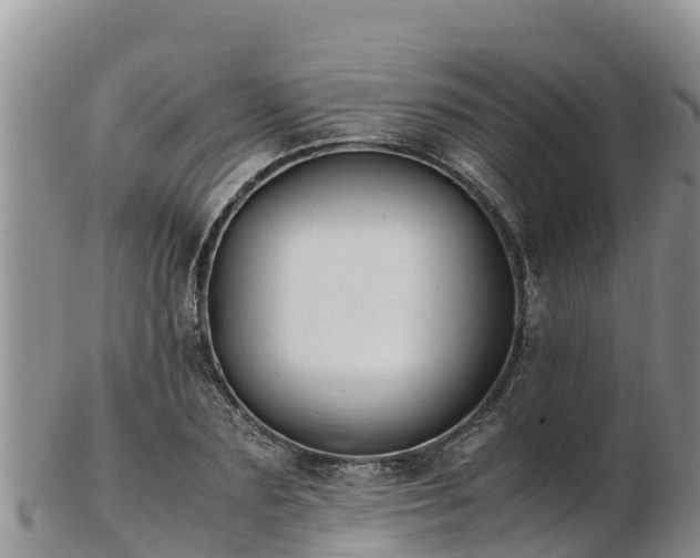 X0000103310883200809051542