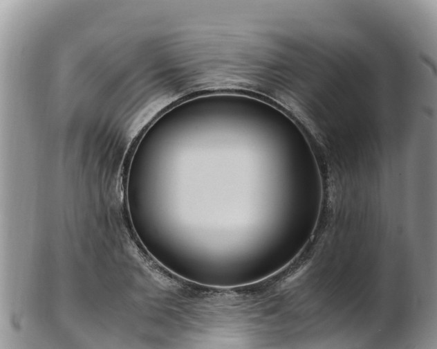 X0000103310885200809051542