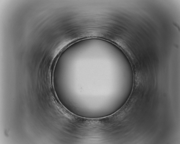 X0000103310886200809051542