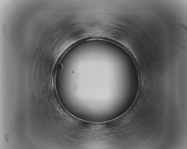 X0000103310887200809051542
