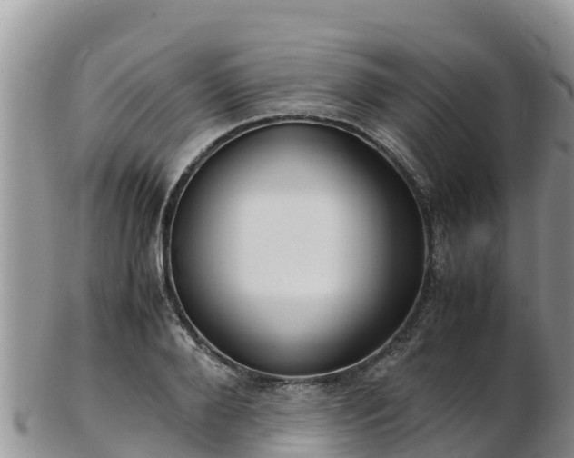 X0000103310888200809051542