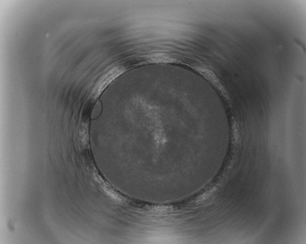 X0000103310889200809051542
