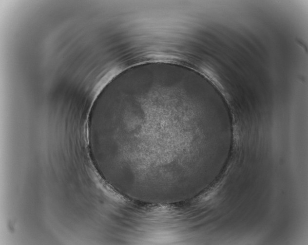 X0000103310891200809051542