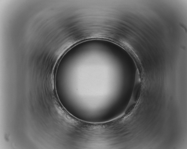 X0000103310892200809051542