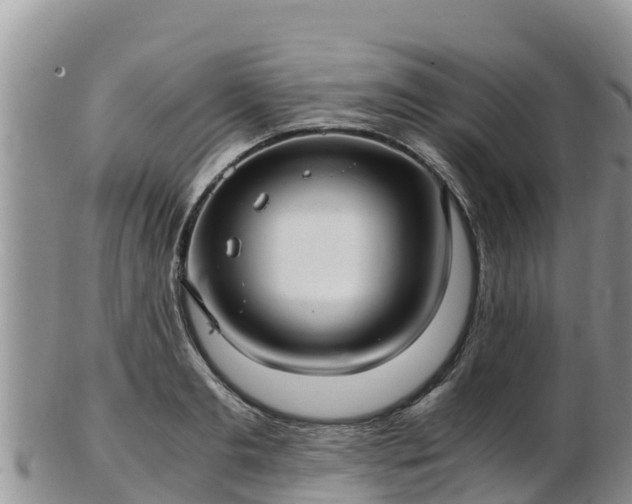 X0000103310893200809051542