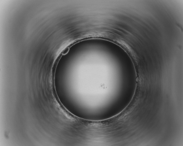 X0000103310894200809051542