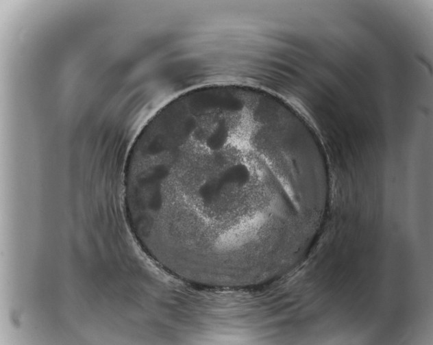 X0000103310895200809051542