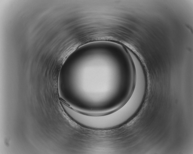 X0000103310897200809051542