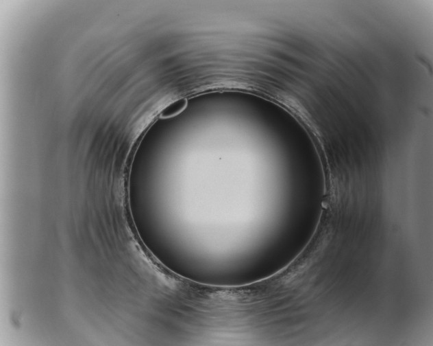 X0000103310898200809051542