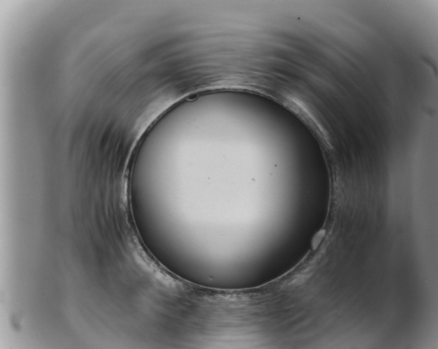 X0000103310900200809051542