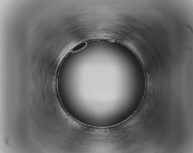 X0000103310901200809051542