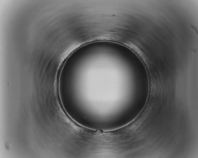 X0000103310902200809051542