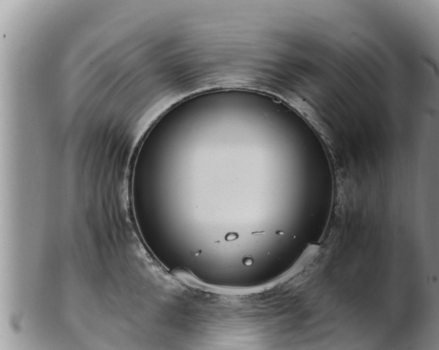 X0000103310904200809051542