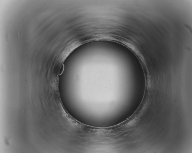 X0000103310905200809051542