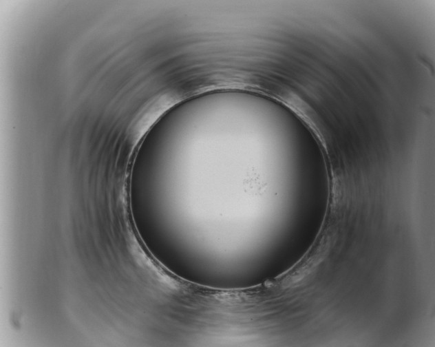 X0000103310906200809051542