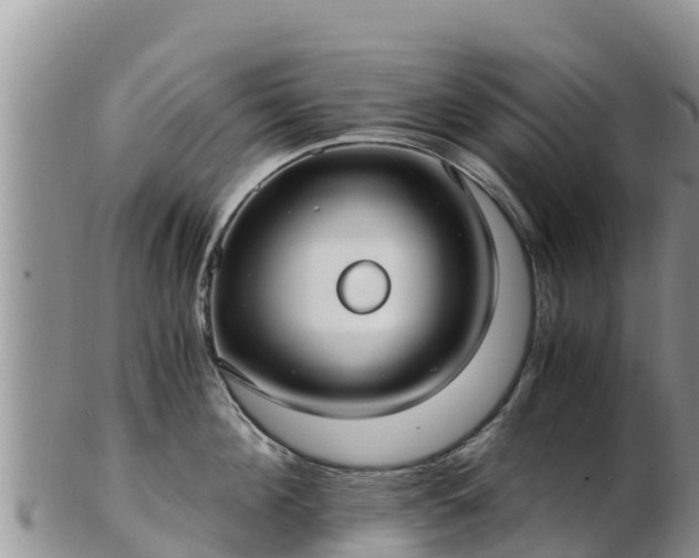 X0000103310908200809051542
