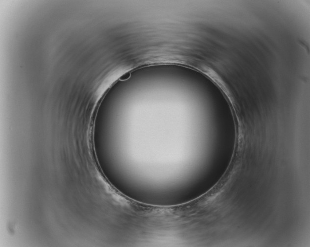 X0000103310909200809051542