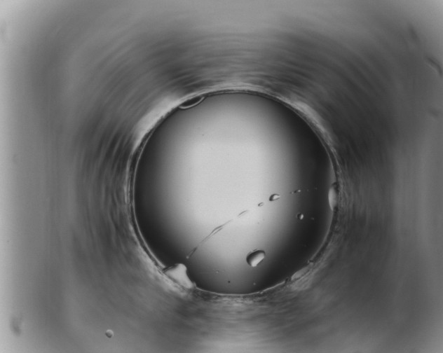 X0000103310910200809051542