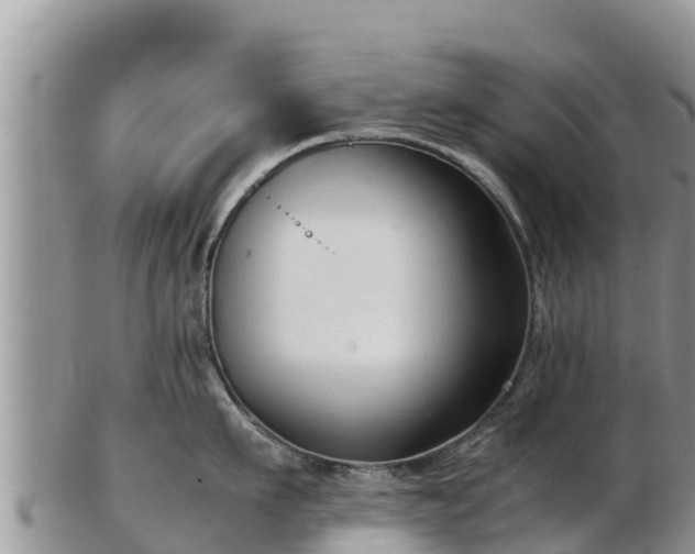 X0000103310911200809051542