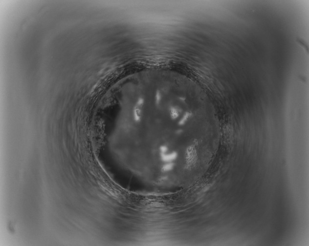 X0000103310913200809051541