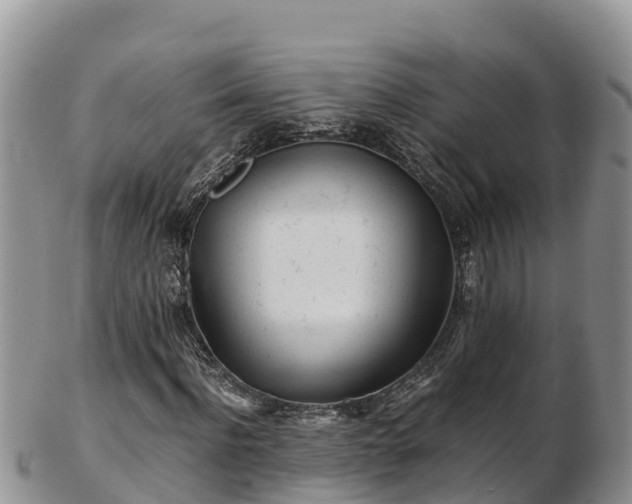 X0000103310916200809051541