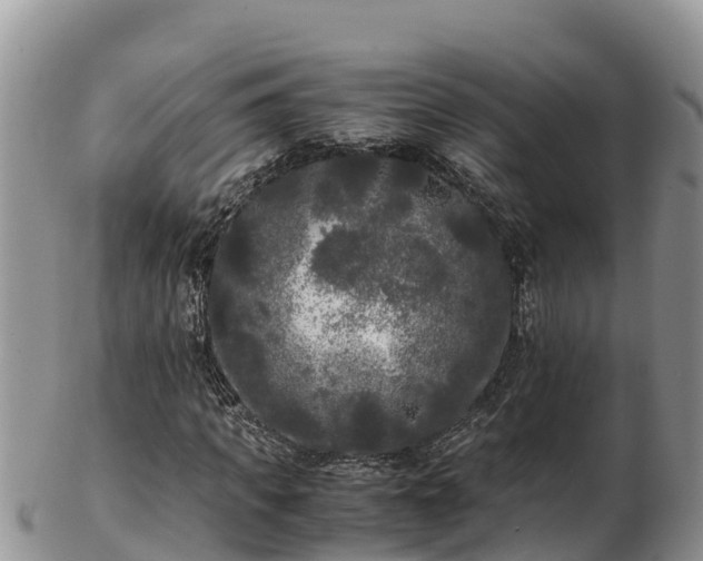 X0000103310917200809051541