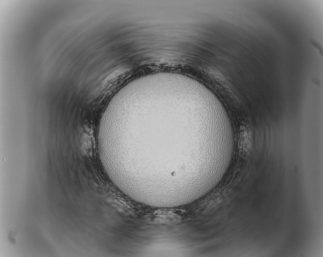 X0000103310918200809051541