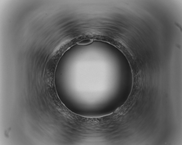 X0000103310919200809051541