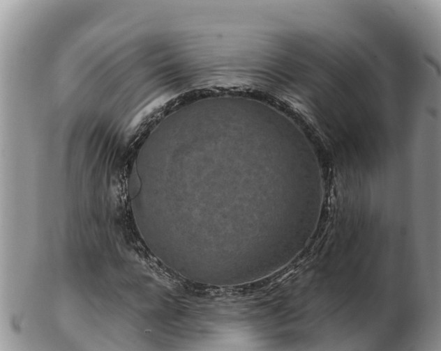 X0000103310920200809051541