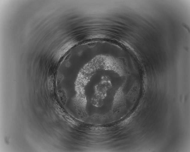 X0000103310921200809051541