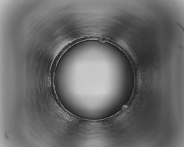 X0000103310924200809051541