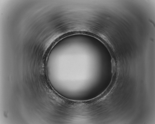 X0000103310926200809051541