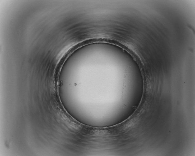 X0000103310927200809051541
