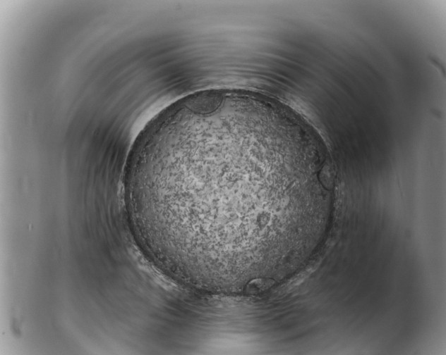 X0000103310928200809051541