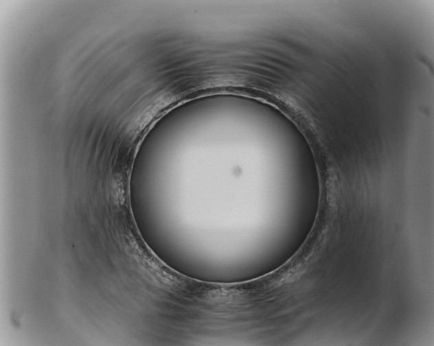 X0000103310929200809051541