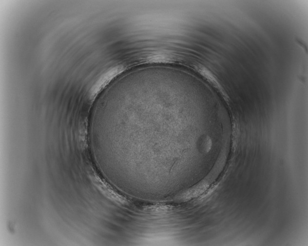 X0000103310930200809051541