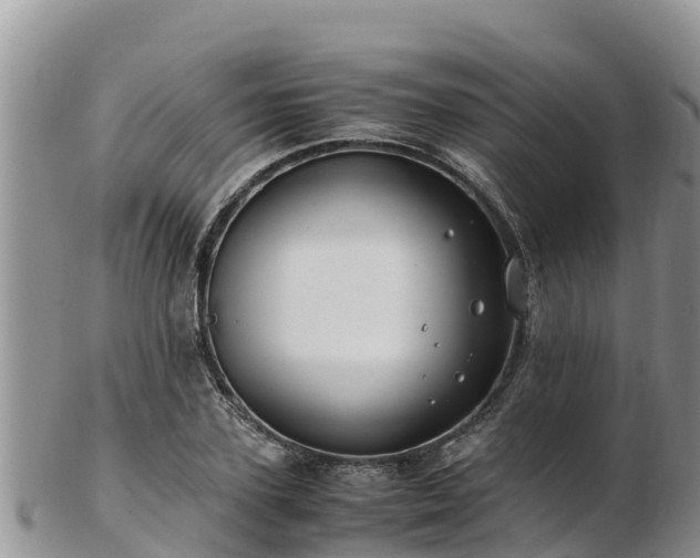 X0000103310931200809051541