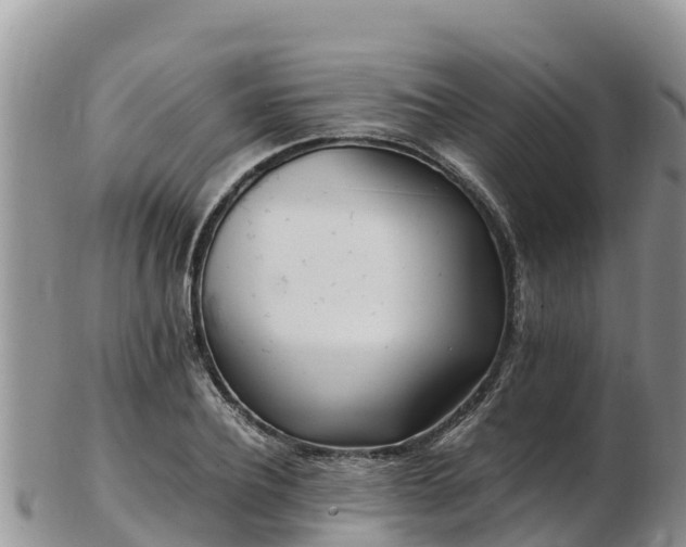 X0000103310932200809051541