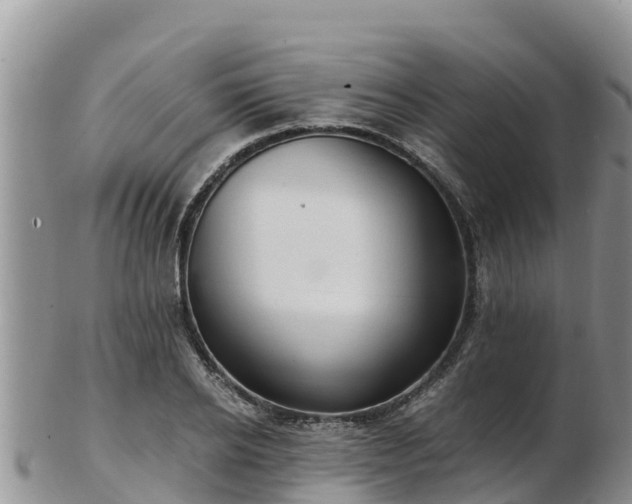 X0000103310934200809051541