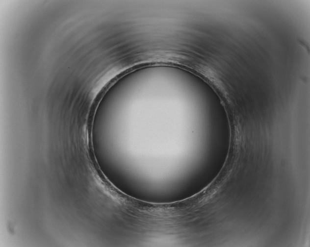 X0000103310936200809051541