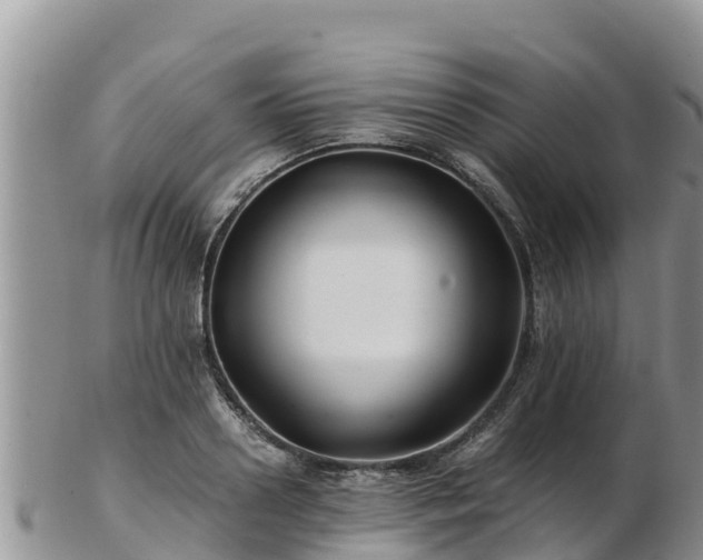 X0000103310938200809051541