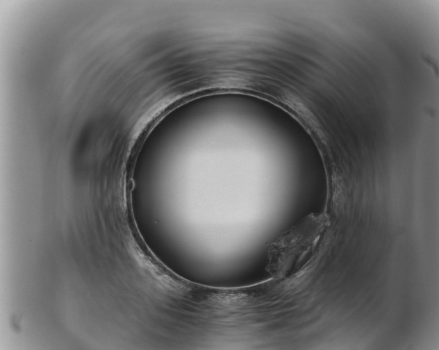 X0000103310939200809051541