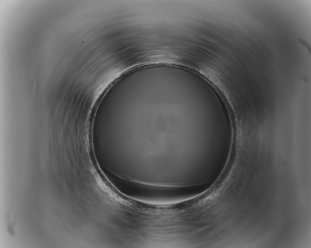 X0000103310941200809051541