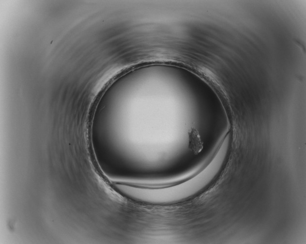 X0000103310942200809051541