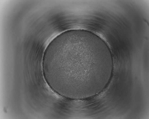 X0000103310943200809051541