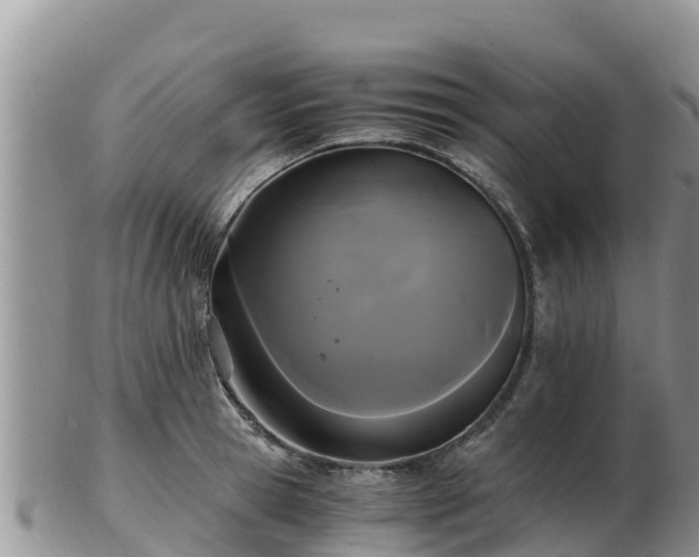 X0000103310945200809051541