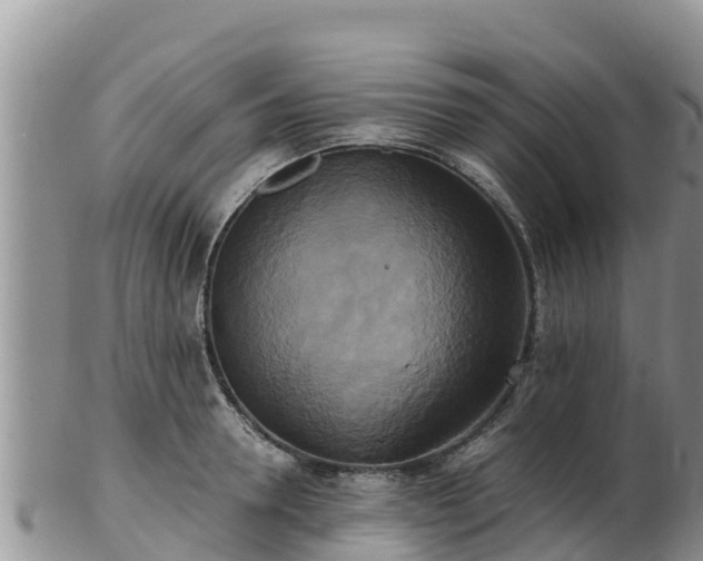 X0000103310946200809051541