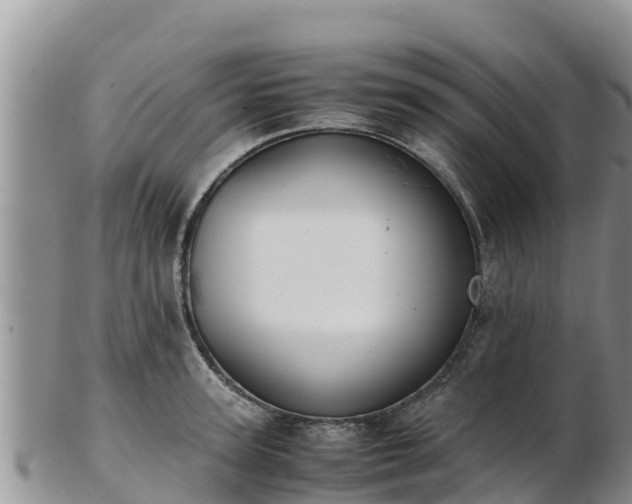 X0000103310947200809051541