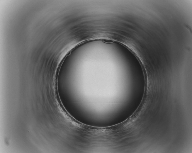X0000103310949200809051541