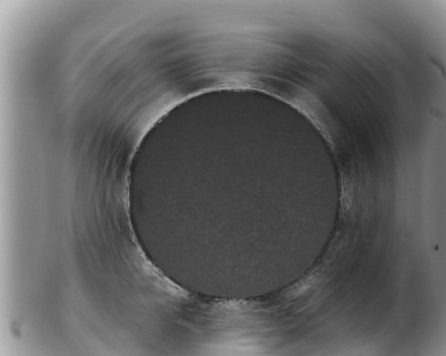 X0000103310950200809051542